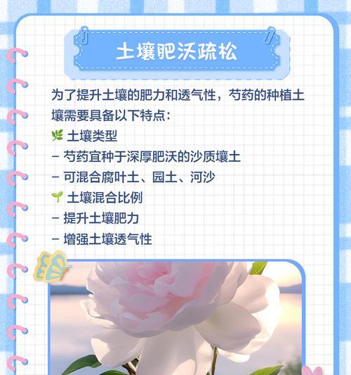 芍药种植的步骤和技巧是什么？如何保证芍药的健康生长？