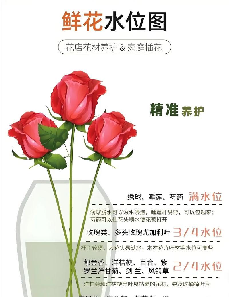 新买的花束如何正确养护？