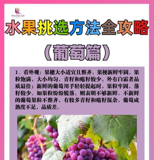 盆栽葡萄结果管理技巧？