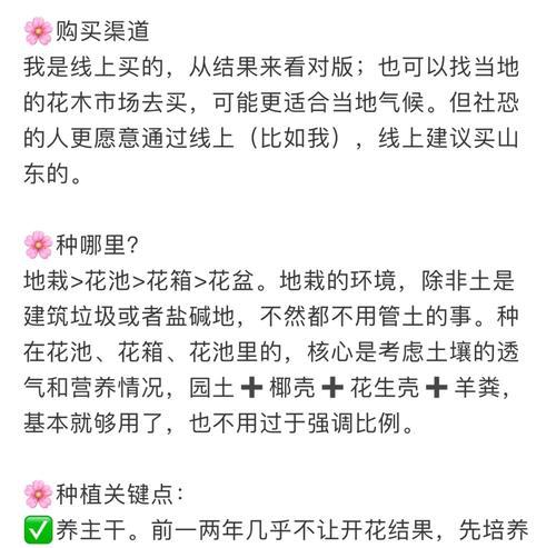 盆栽葡萄结果管理技巧？