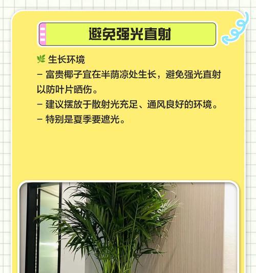 富贵椰子浇水频率和量是多少？