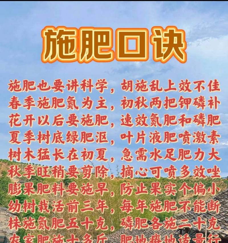 平安树施肥的最佳时机是什么时候？应该使用哪种肥料？