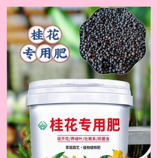 平安树施肥的最佳时机是什么时候？应该使用哪种肥料？
