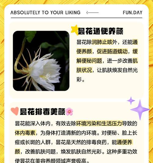 昙花施肥的正确方法是什么？