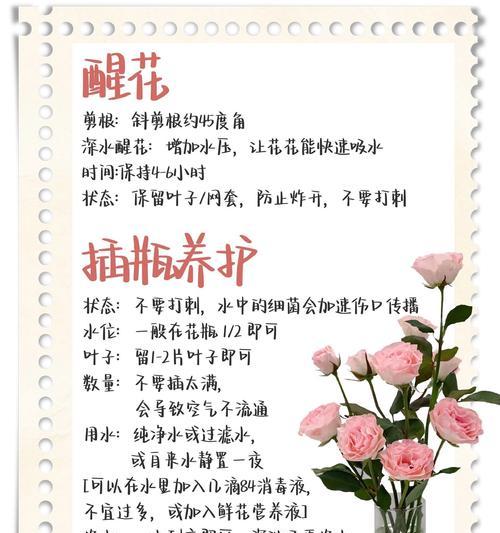 玫瑰花枯萎发黄的解决方法有哪些？