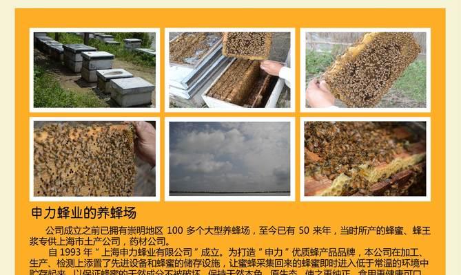 紫云英的种植技巧有哪些？如何确保紫云英顺利发芽？