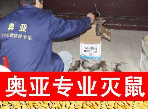 如何有效灭杀双线嗜粘液蛞蝓？