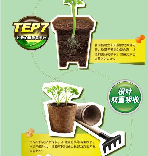 古肤植物发根的条件和方法是什么？