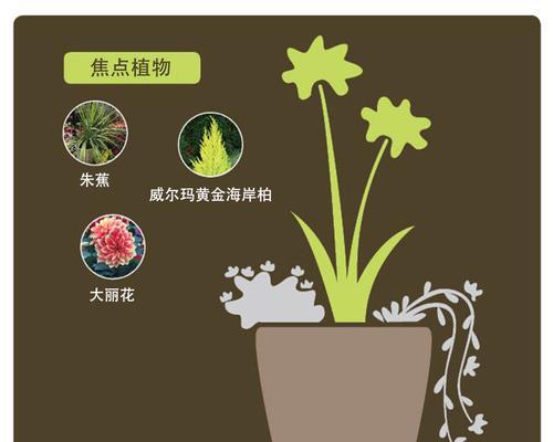 哪些绿植适合喜阳环境？如何照顾喜阳绿植？