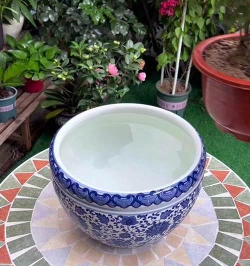 非洲茉莉夏季浇水的正确方法是什么？