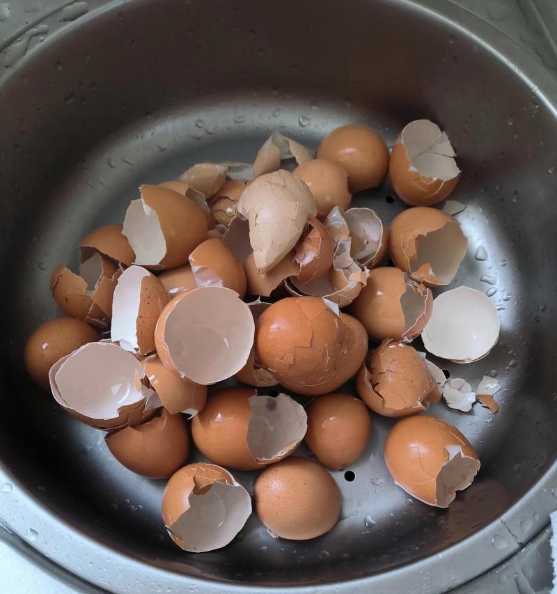 鸡蛋壳作为肥料适合哪些花卉？如何正确使用？