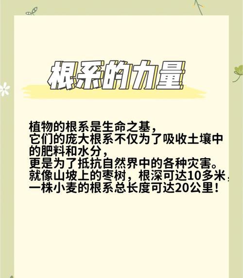 绿色植物种植不发芽的原因是什么？怎样才能促进发芽？
