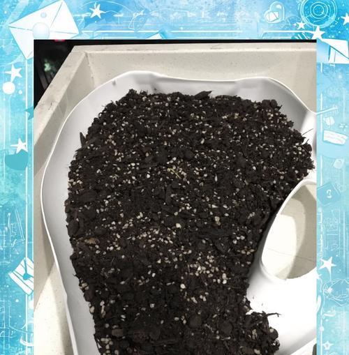 香葱的种植方法是什么？种植过程中应注意哪些问题？