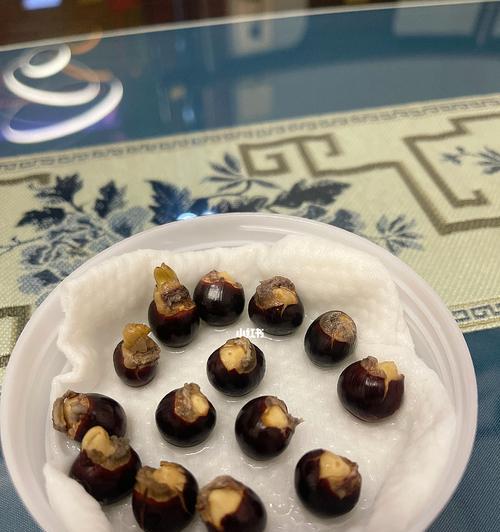 龙眼种子盆栽的制作过程和注意事项？