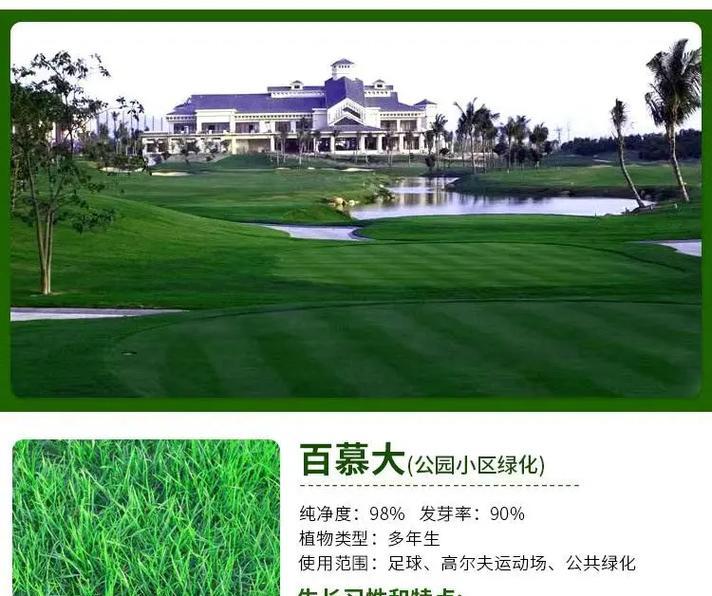草种的播种技巧有哪些？播种后如何管理？