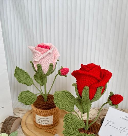 盆栽玫瑰花如何促进花苞的形成？有哪些有效方法？