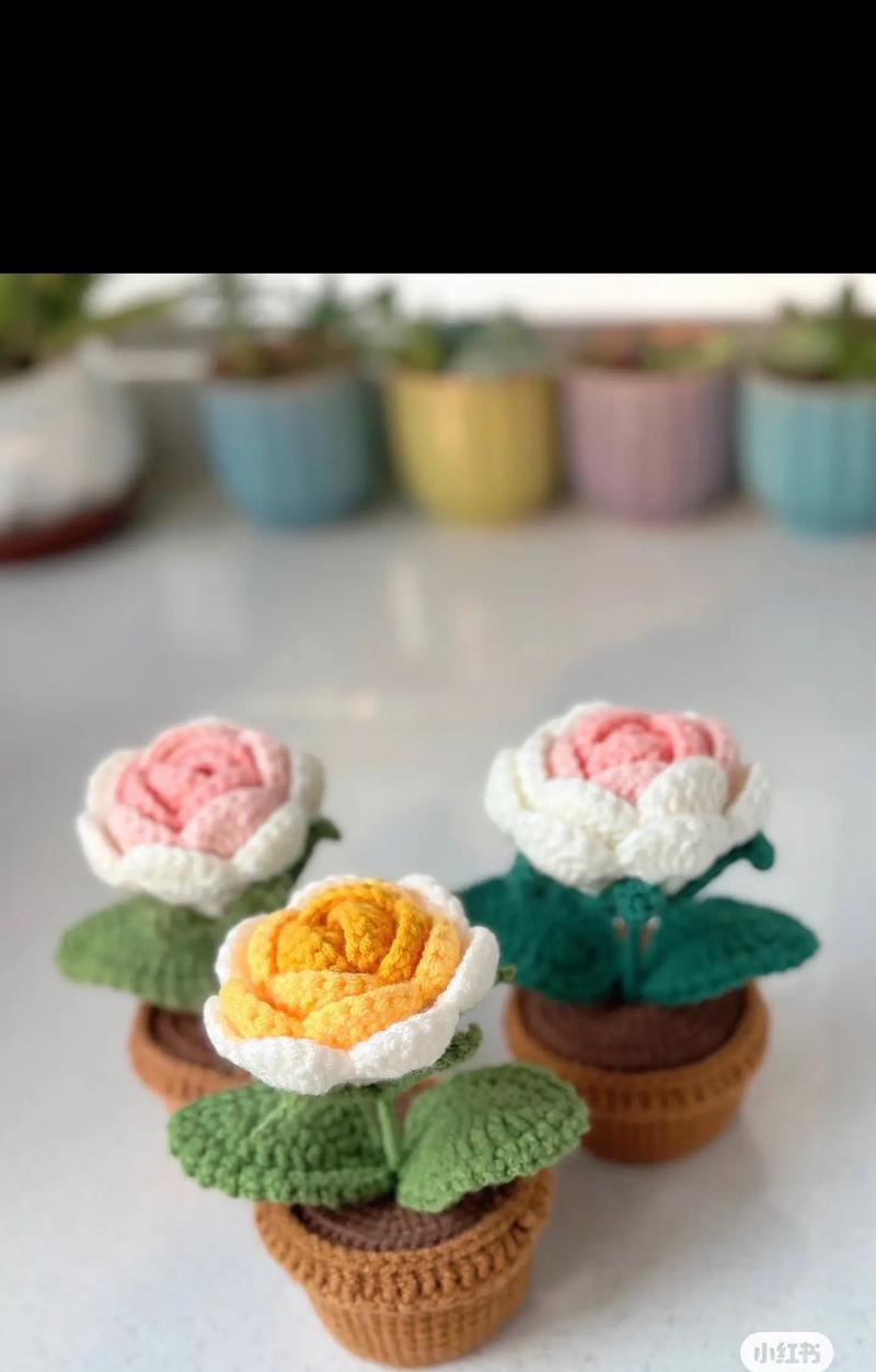 盆栽玫瑰花如何促进花苞的形成？有哪些有效方法？
