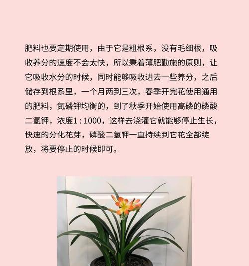 花盆植物的正确养护方法有哪些？