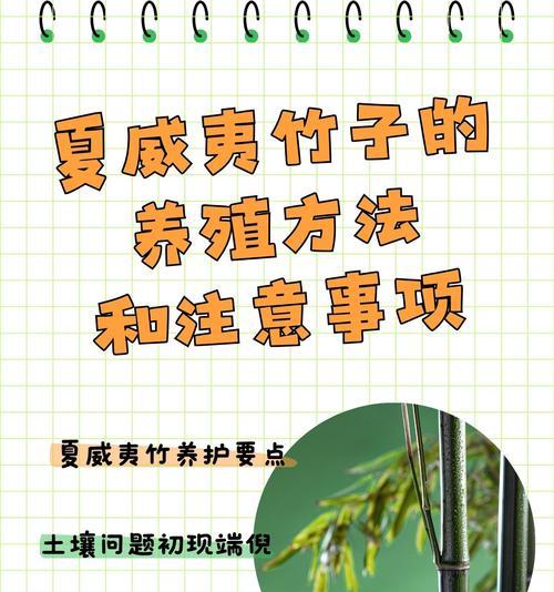 花盆植物的正确养护方法有哪些？