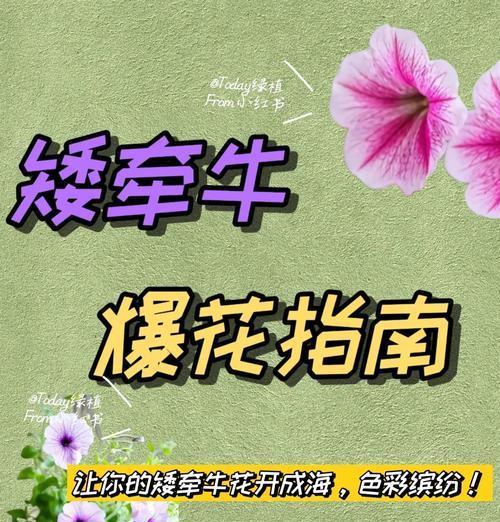 矮牵牛打顶的最佳时机是什么时候？
