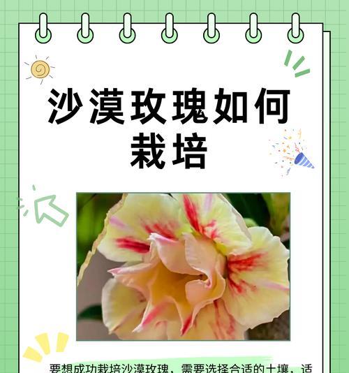 如何处理枯萎的玫瑰花？怎样使其恢复生机？