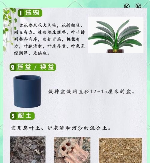 蛋壳施肥对君子兰有何益处？