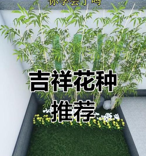 庭院种植花卉有哪些推荐？如何选择适合庭院的花卉？