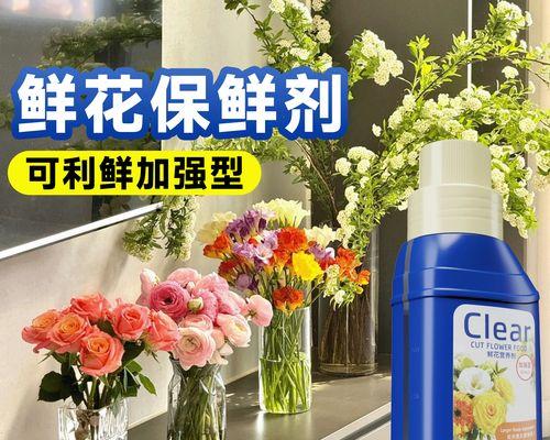 鲜切花玫瑰插瓶怎么养护？延长花期的秘诀是什么？