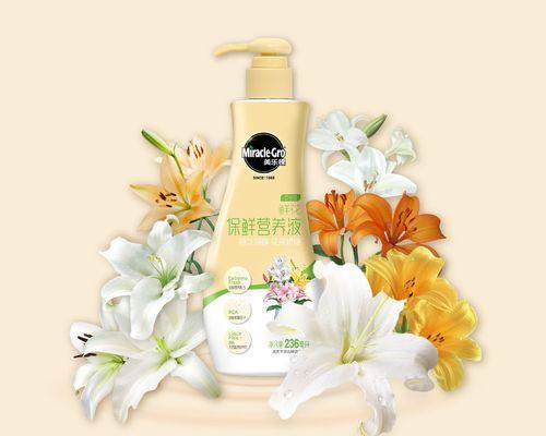 鲜切花玫瑰插瓶怎么养护？延长花期的秘诀是什么？
