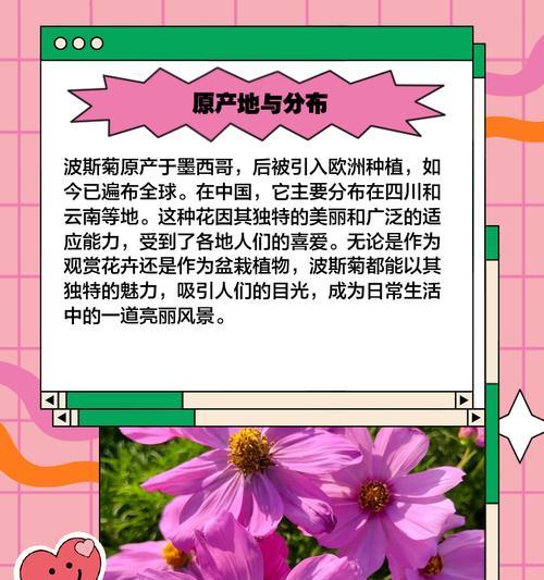 波斯菊的种植和养护方法是什么？如何促进其良好生长？