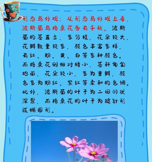 波斯菊的种植和养护方法是什么？如何促进其良好生长？