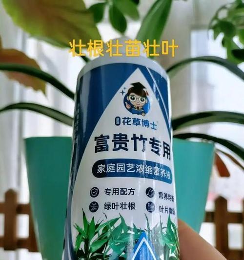 水培富贵竹需要施肥吗？应该使用哪种肥料？