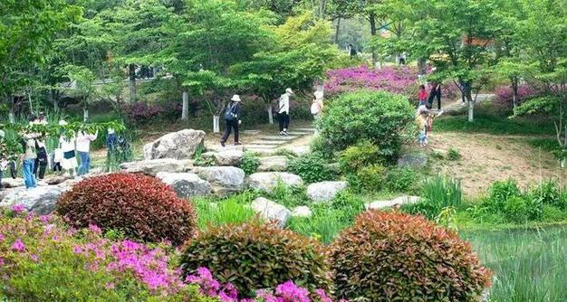 镇江的市花是什么？市花的象征意义有哪些？