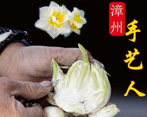 水仙花雕刻步骤是什么？怎样雕刻出美丽的形状？