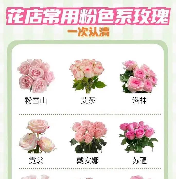 玫瑰花的繁殖方法有哪些？如何提高玫瑰花的繁殖成功率？