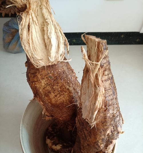 树根烂了怎么处理？有哪些有效的方法可以拯救病弱的树根？