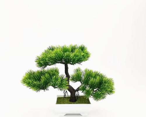 如何制作手工花瓣迎客松盆景？