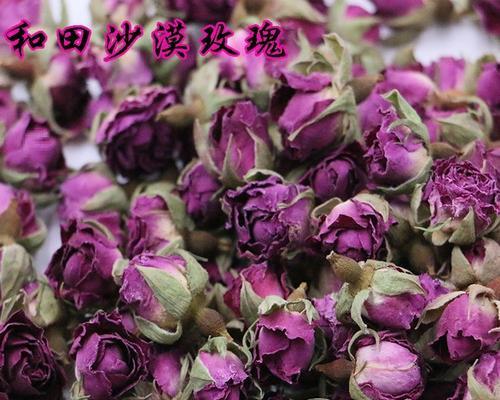 和田玫瑰的开花时间是什么时候？如何促进和田玫瑰开花？