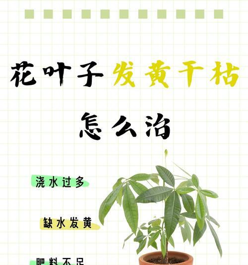 花的叶子发黄是什么原因？如何进行处理？