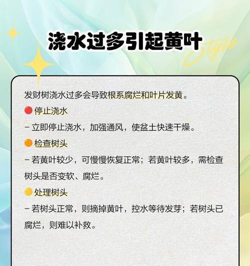 发财树叶子变黄是什么原因？如何有效解决？