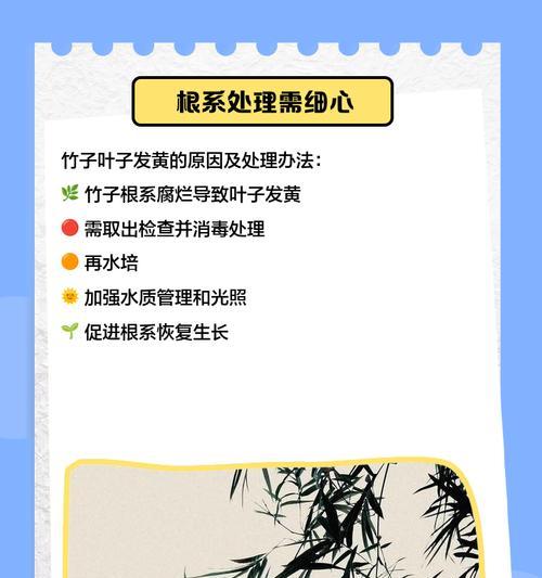 竹子叶子发黄的解决方法是什么？