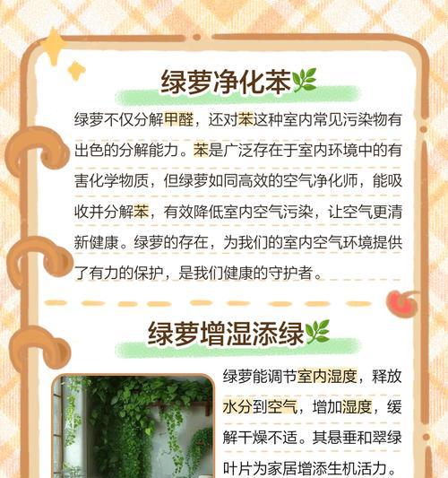 水养绿萝烂根怎么办？如何预防和处理烂根问题？