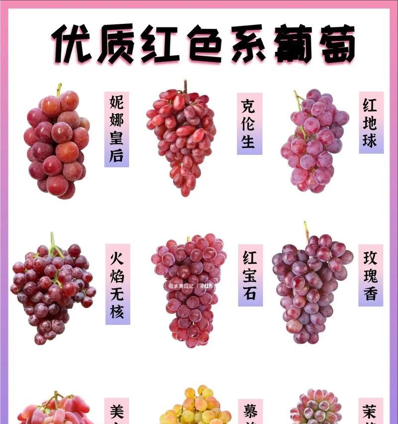 哪些盆栽葡萄品种坐果率最高？如何提高坐果率？