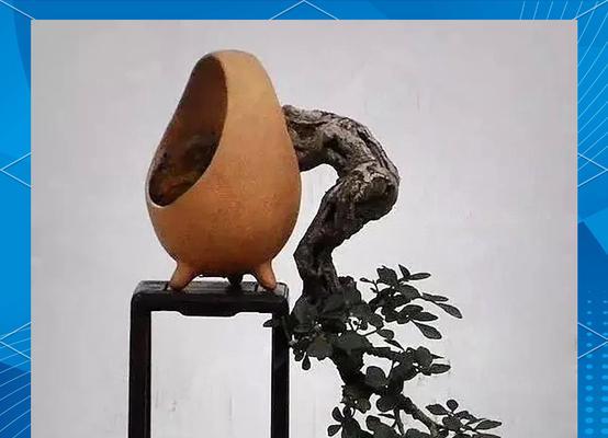 树桩盆景适合哪种花盆？如何选择合适的花盆？