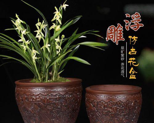 树桩盆景适合哪种花盆？如何选择合适的花盆？