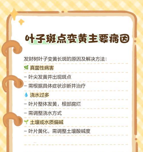 发财树发黄是什么原因？如何解决发财树叶片变黄问题？