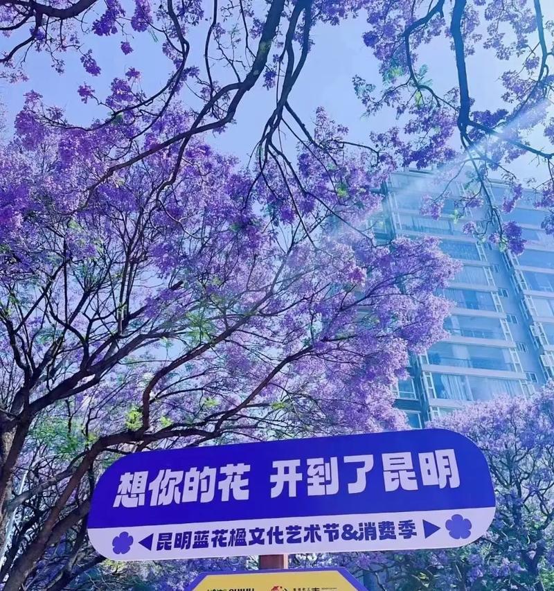 昆明的市花是什么？昆明市花的象征意义有哪些？