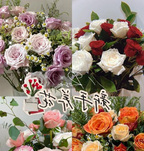 哪些玫瑰品种的花瓣可以食用？可食用玫瑰的挑选技巧是什么？