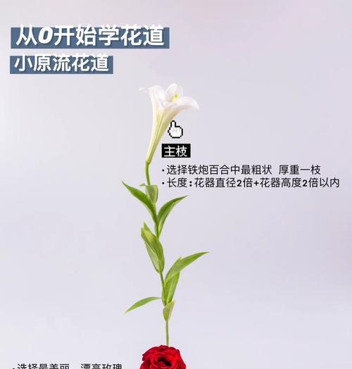 在光滑的墙面上固定插花板有什么技巧？如何确保插花板牢固？
