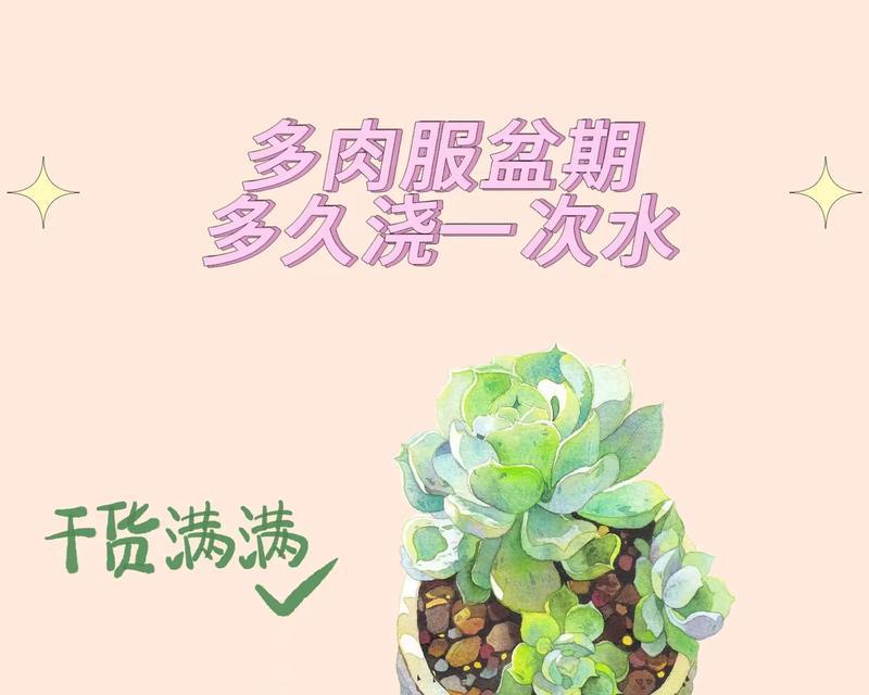 怎么给多肉浇水？如何避免过度或不足？